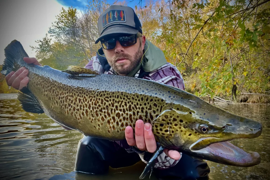 kalyn hoggard wisconsin lake run brown trout